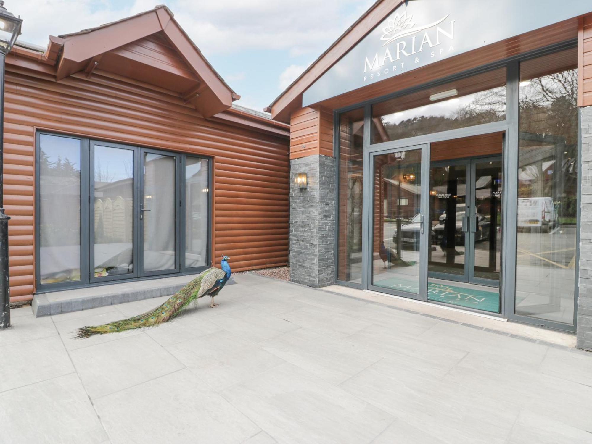 Luxury Lodge 62 Rhyl Exteriör bild